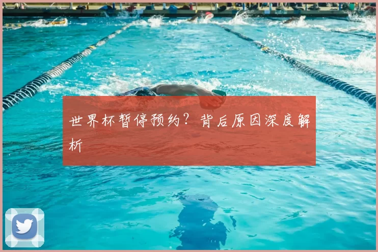 世界杯暂停预约?背后原因深度解析