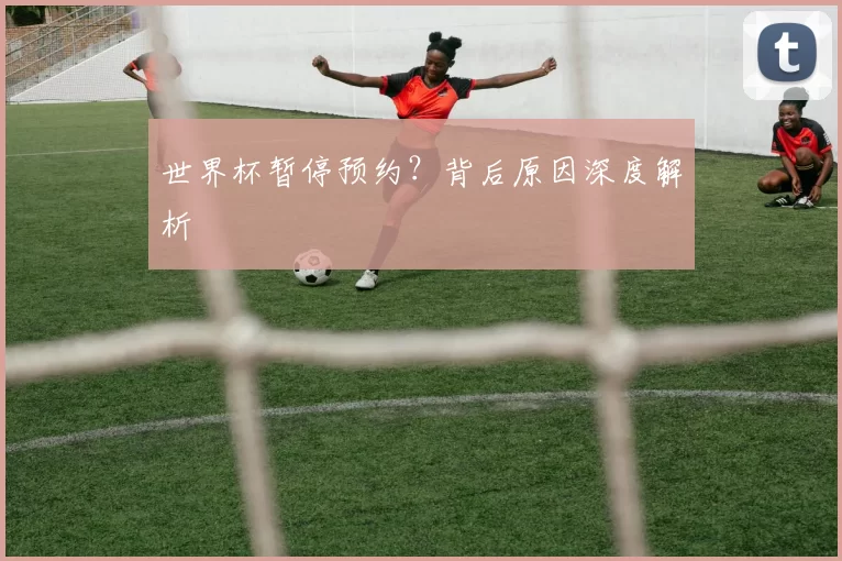世界杯暂停预约？背后原因深度解析