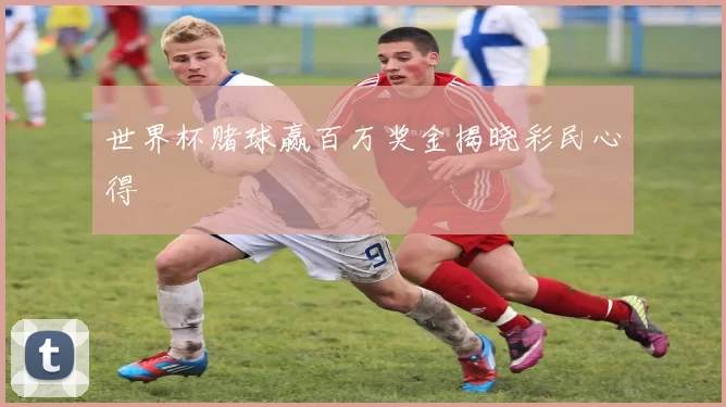 世界杯赌球赢百万奖金揭晓彩民心得