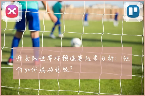 丹麦队世界杯预选赛结果分析:他们如何成功晋级?