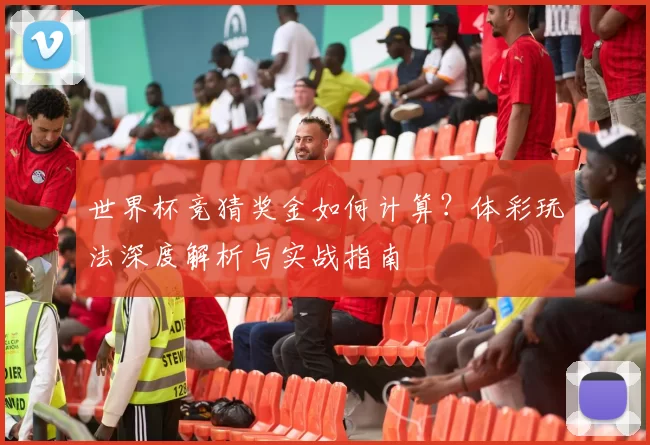 世界杯竞猜奖金如何计算？体彩玩法深度解析与实战指南