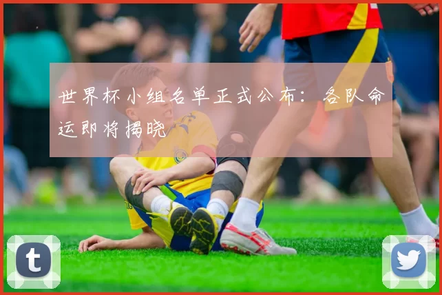 世界杯小组名单正式公布:各队命运即将揭晓