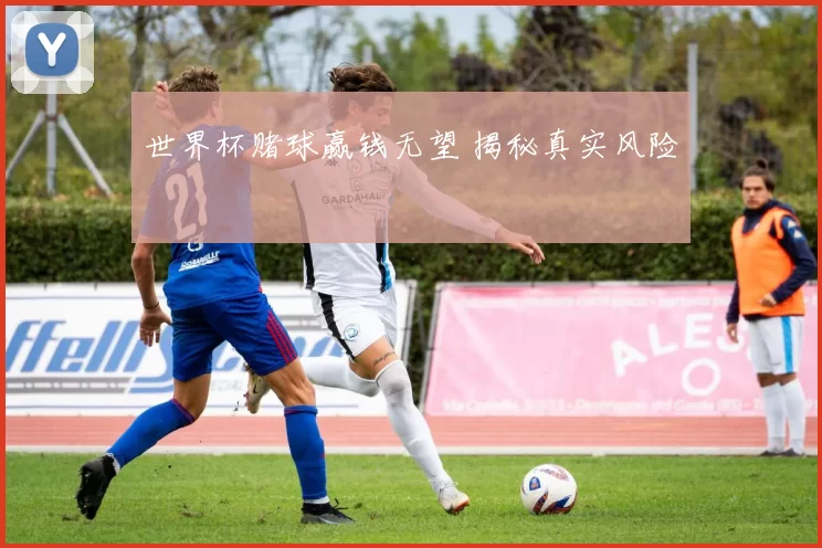 世界杯赌球赢钱无望 揭秘真实风险